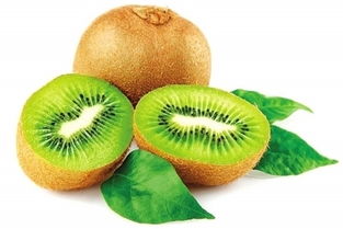 水源地特产献礼中原人民